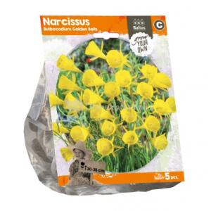 Baltus Narcissus Bulbocodium Golden Bells bloembollen per 5 stuks